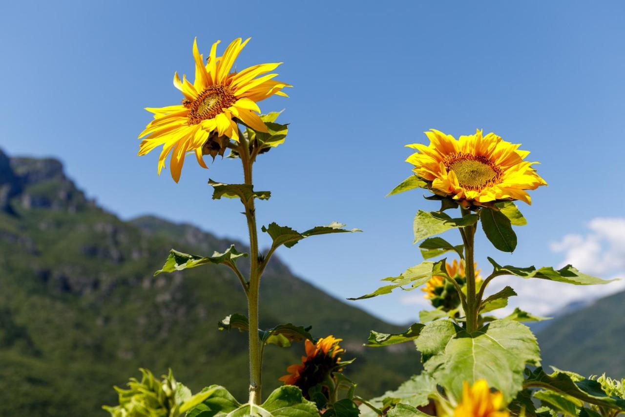 Arve Castelbianco - B&B E Appartamento Colletta Екстер'єр фото